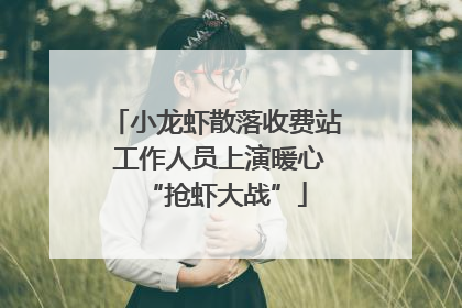 小龙虾散落收费站 工作人员上演暖心“抢虾大战”