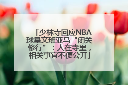 少林寺回应NBA球星文班亚马“闭关修行”：人在寺里，相关事宜不便公开
