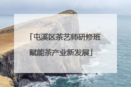 屯溪区茶艺师研修班赋能茶产业新发展