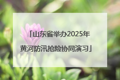 山东省举办2025年黄河防汛抢险协同演习