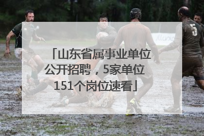 山东省属事业单位公开招聘，5家单位151个岗位速看
