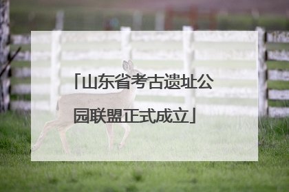 山东省考古遗址公园联盟正式成立