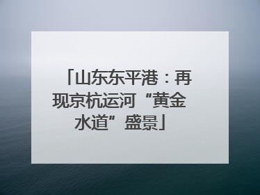 山东东平港：再现京杭运河“黄金水道”盛景