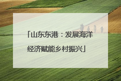 山东东港：发展海洋经济赋能乡村振兴
