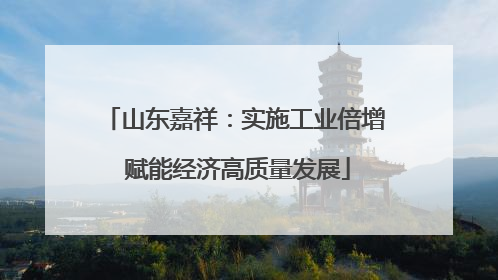 山东嘉祥：实施工业倍增 赋能经济高质量发展