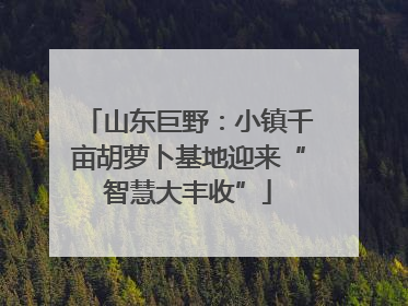 山东巨野：小镇千亩胡萝卜基地迎来“智慧大丰收”