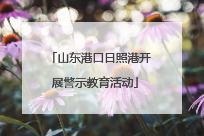 山东港口日照港开展警示教育活动
