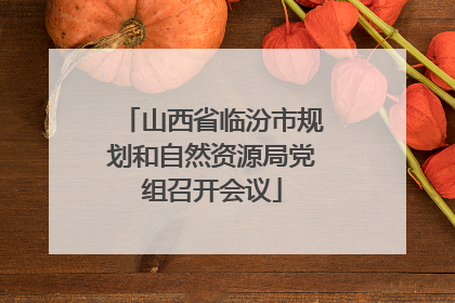 山西省临汾市规划和自然资源局党组召开会议