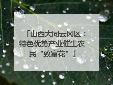 山西大同云冈区：特色优势产业催生农民“致富花”