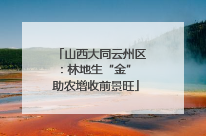 山西大同云州区：林地生“金” 助农增收前景旺