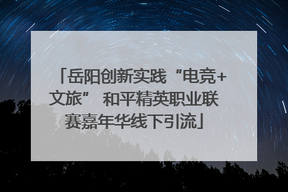 岳阳创新实践“电竞+文旅” 和平精英职业联赛嘉年华线下引流