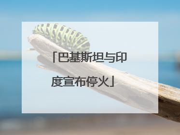 巴基斯坦与印度宣布停火