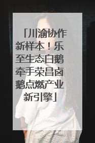 川渝协作新样本！乐至生态白鹅牵手荣昌卤鹅点燃产业新引擎