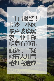 已报警！长沙一小区多户玻璃爆裂，业主称明显有弹孔痕迹，“疑似有人用气枪打鸟造成”