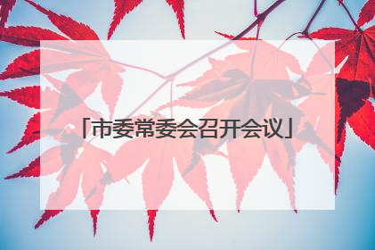 市委常委会召开会议