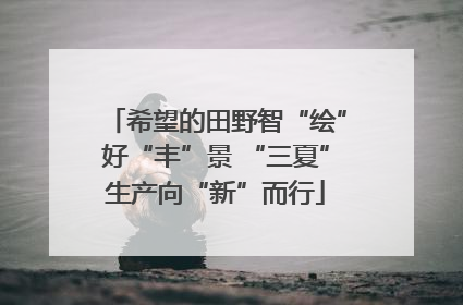 希望的田野智“绘”好“丰”景 “三夏”生产向“新”而行