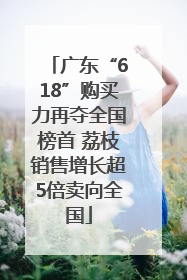 广东“618”购买力再夺全国榜首 荔枝销售增长超5倍卖向全国