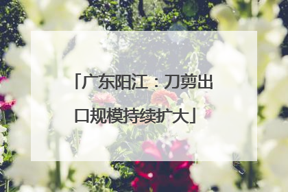 广东阳江：刀剪出口规模持续扩大