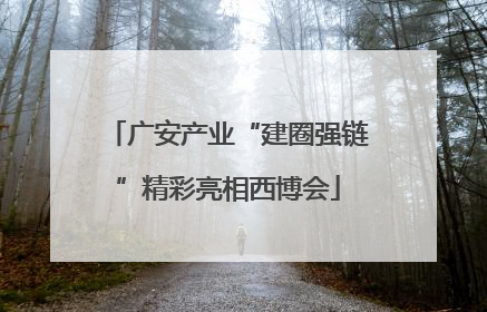 广安产业“建圈强链”精彩亮相西博会