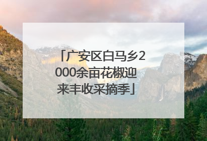 广安区白马乡2000余亩花椒迎来丰收采摘季