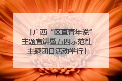 广西“区直青年说”主题宣讲暨五四示范性主题团日活动举行