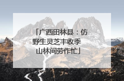 广西田林县：仿野生灵芝丰收季 山林间劳作忙