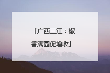 广西三江：椒香满园促增收