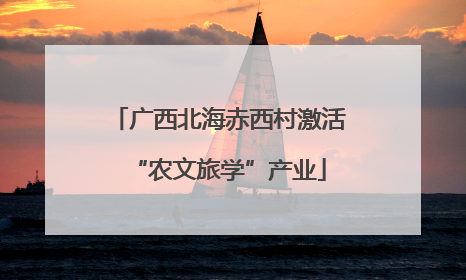 广西北海赤西村激活“农文旅学”产业