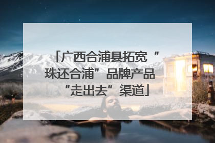 广西合浦县拓宽“珠还合浦”品牌产品“走出去”渠道