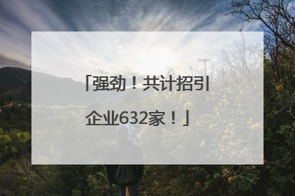 强劲！共计招引企业632家！