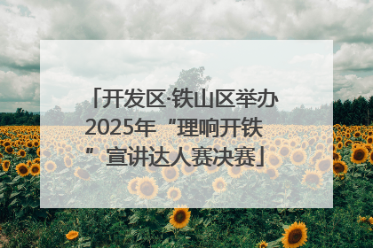 开发区·铁山区举办2025年“理响开铁”宣讲达人赛决赛