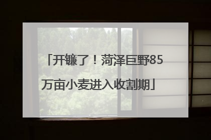 开镰了！菏泽巨野85万亩小麦进入收割期