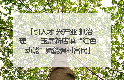 引人才 兴产业 抓治理——玉屏新店镇“红色动能”赋能强村富民