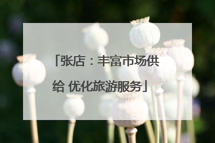 张店：丰富市场供给 优化旅游服务