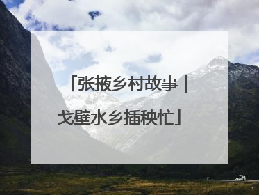 张掖乡村故事｜戈壁水乡插秧忙