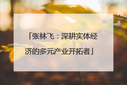 张林飞：深耕实体经济的多元产业开拓者