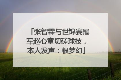 张智霖与世锦赛冠军赵心童切磋球技，本人发声：很梦幻
