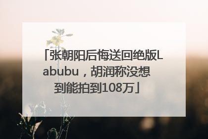 张朝阳后悔送回绝版Labubu，胡润称没想到能拍到108万