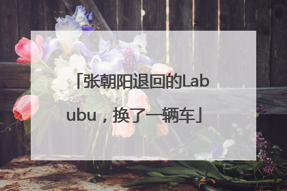 张朝阳退回的Labubu，换了一辆车