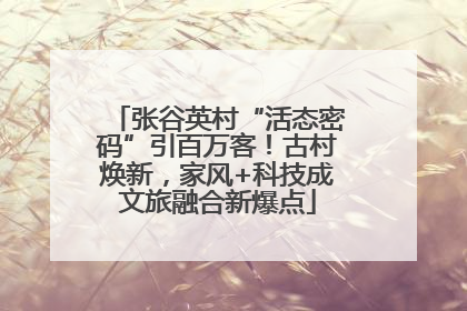 张谷英村“活态密码”引百万客！古村焕新，家风+科技成文旅融合新爆点