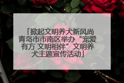 掀起文明养犬新风尚 青岛市市南区举办“宠爱有方 文明相伴”文明养犬主题宣传活动
