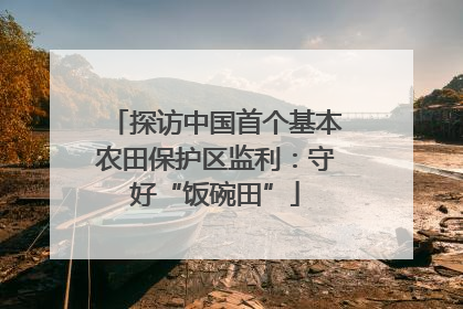 探访中国首个基本农田保护区监利：守好“饭碗田”