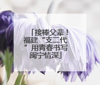 接棒父辈！福建“支二代”用青春书写闽宁情深