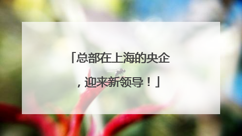 总部在上海的央企，迎来新领导！