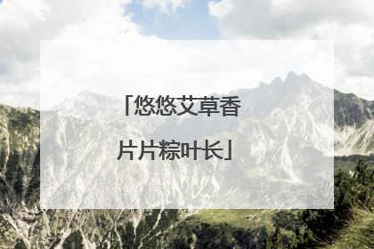 悠悠艾草香 片片粽叶长