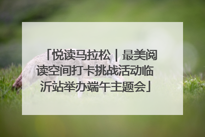 悦读马拉松｜最美阅读空间打卡挑战活动临沂站举办端午主题会