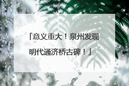 意义重大！泉州发现明代通济桥古碑！