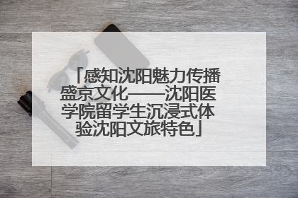 感知沈阳魅力传播盛京文化——沈阳医学院留学生沉浸式体验沈阳文旅特色