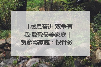 感恩奋进 双争有我·致敬最美家庭｜贺彦霞家庭：银针彩线绣出好日子