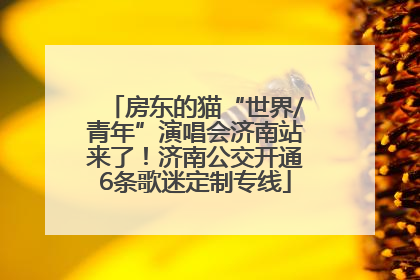 房东的猫“世界/青年”演唱会济南站来了！济南公交开通6条歌迷定制专线
